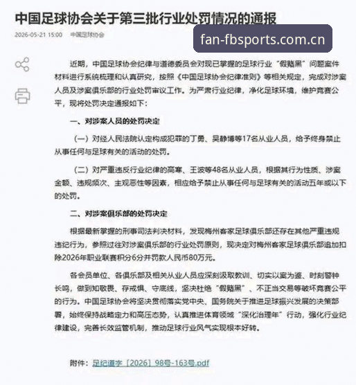 FB体育是什么 FB体育平台解读足协第三批禁足名单:完整指南与行业深度分析